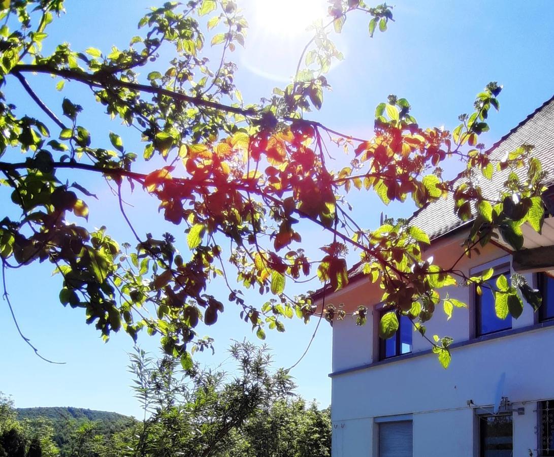 Ferienwohnung Albstadt Panorama Luaran gambar